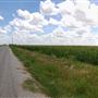 Corn Fields on Hwy 87