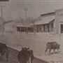 Burton Roadhouse