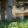 Brazos River at FM 4 Bridge