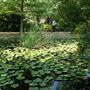 Clark Gardens Botanical Park