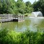 Clark Gardens Botanical Park