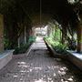 Clark Gardens Botanical Park