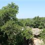 Lake Mineral Wells State Park