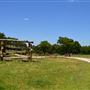 Cedar Isle Ranch