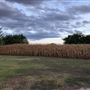 Gil Farmhouse & Cornfield