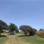 Gil Farmhouse & Cornfield