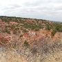 Ranger Creek Ranch
