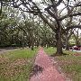Broadacres Neighborhood - Between North and South Blvd
