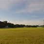 Clifton City Park