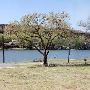 Buffalo Springs Lake