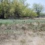 Mackenzie Park - Prairie Dog Town