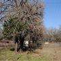 Rural Farm - Two House Property