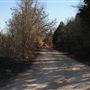 Rural Farm - Two House Property