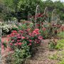 Clark Gardens Botanical Park