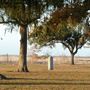 Fort Anahuac Park