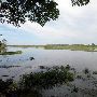 Martin Dies, Jr. State Park