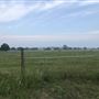 Snake Prairie