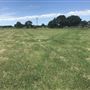 Snake Prairie