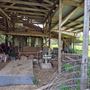 Rural Farm - Two House Property