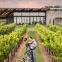 Narrow Path Winery