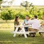 Signor Vineyards