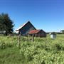 Bucking Beauty Farm