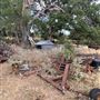 Rose Ranch