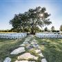 Cricket Hill Ranch