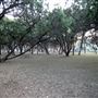 North Oaks Neighborhood Park