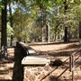 Synergy Park