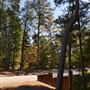 Synergy Park