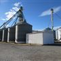 Top Tier Grain & Feed