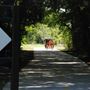 Lone Star Trail