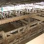 Navasota Livestock Auction