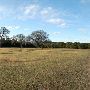Wimberley Zipline Adventures