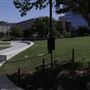 Waterloo Park