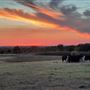 Windy Ridge Ranch