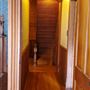 The Nathan Cass Magnolia House