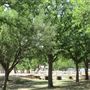 Miles City Park