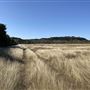 Lahourcade Ranch