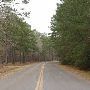 Lake Livingston State Park