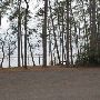 Lake Livingston State Park
