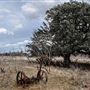 Weatherby Ranch