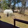 Gemini Movie Ranch