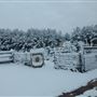 Scottsville Property