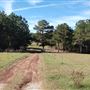 Scottsville Property