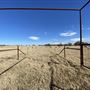 Fairlea Longhorn Ranch