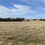 Fairlea Longhorn Ranch