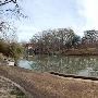Max Starke Park