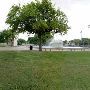 Washington City Park